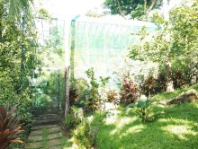 Img-malay-malayecologicalpark8.jpg