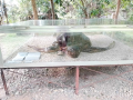 Thumbnail for version as of 03:26, 3 November 2023