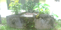 Img-gabaldon8.png