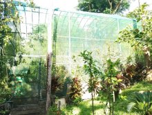 Img-malay-malayecologicalpark6.jpg